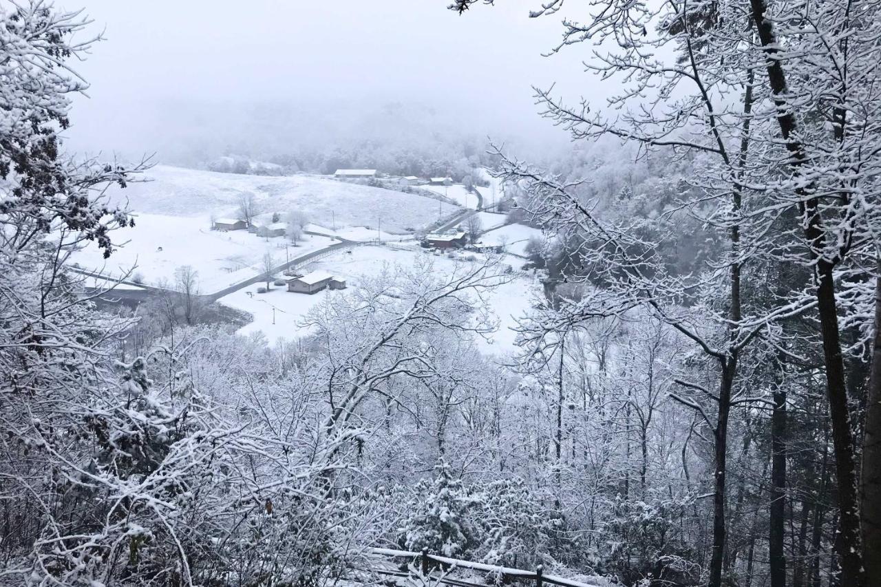 Pigeon Forge Scenic Solitude With Private Hot Tub! 外观 照片
